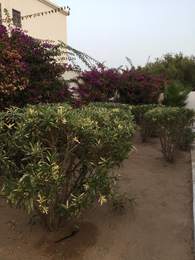 مبيت وإفطار Midounia المظهر الخارجي الصورة